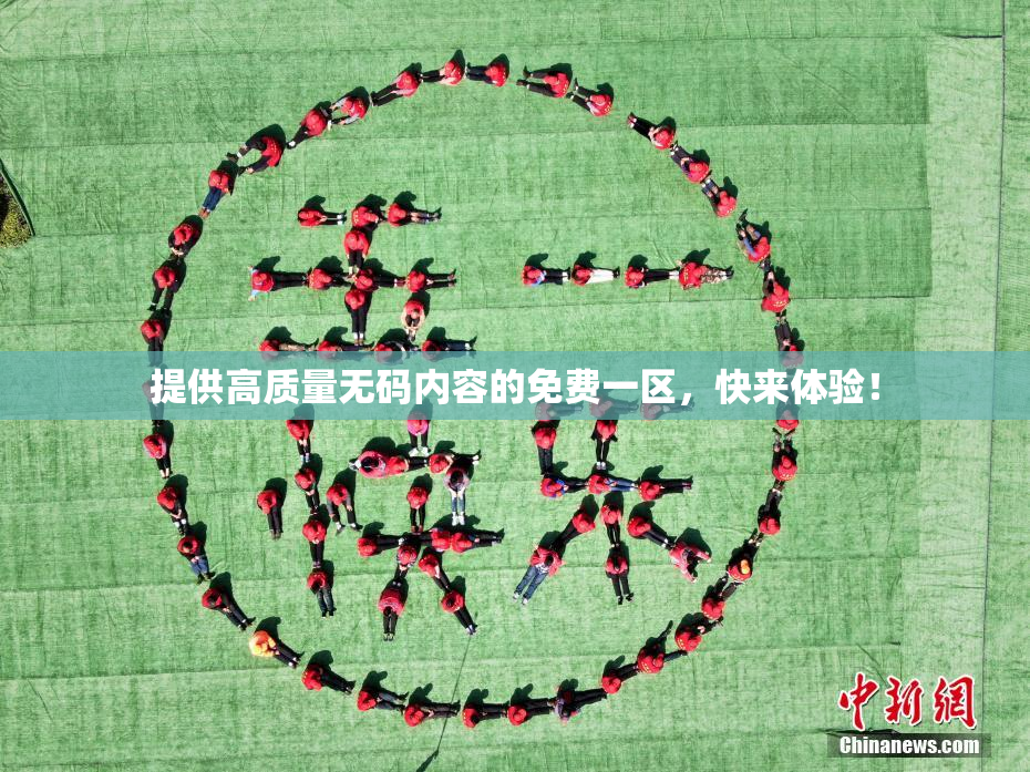 提供高质量无码内容的免费一区，快来体验！