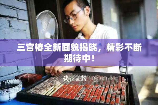 三宫椿全新面貌揭晓，精彩不断期待中！