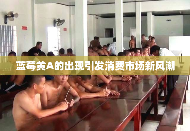 蓝莓黄A的出现引发消费市场新风潮