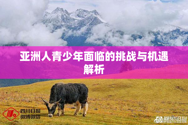 亚洲人青少年面临的挑战与机遇解析