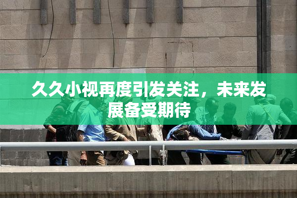 久久小视再度引发关注，未来发展备受期待