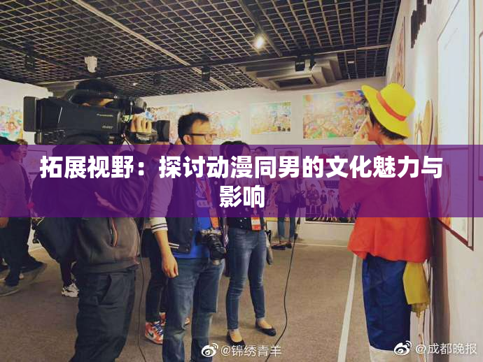 拓展视野：探讨动漫同男的文化魅力与影响