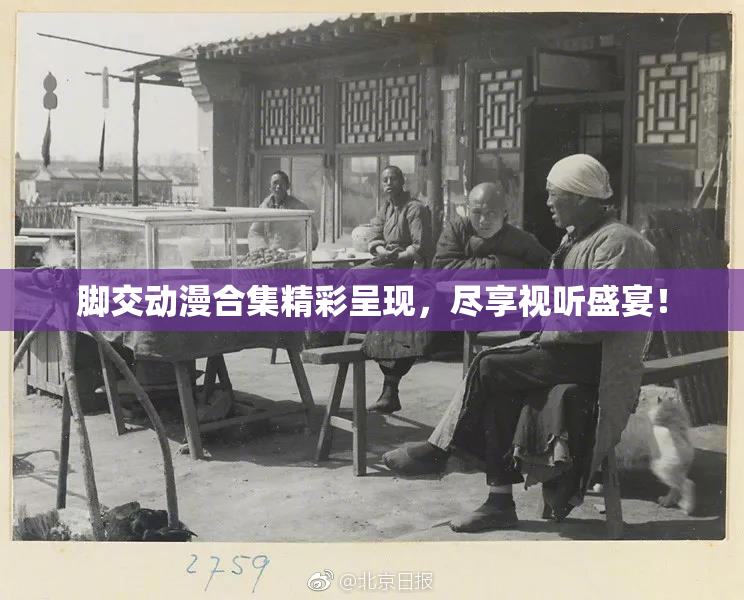 脚交动漫合集精彩呈现，尽享视听盛宴！