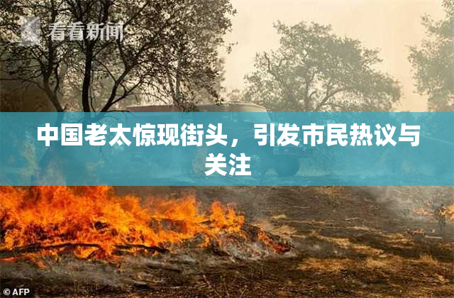 中国老太惊现街头，引发市民热议与关注