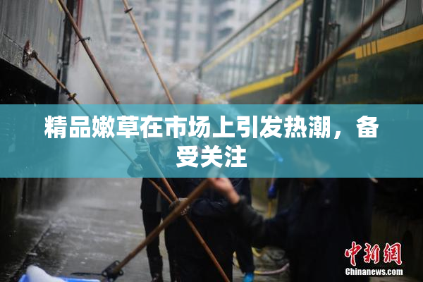 精品嫩草在市场上引发热潮，备受关注