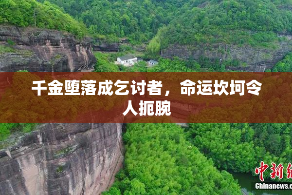 千金堕落成乞讨者，命运坎坷令人扼腕