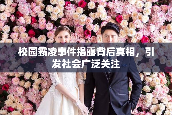 校园霸凌事件揭露背后真相，引发社会广泛关注