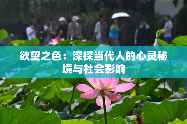 欲望之色：深探当代人的心灵秘境与社会影响