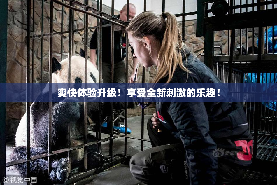 爽快体验升级！享受全新刺激的乐趣！
