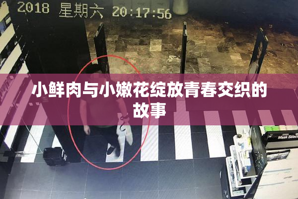 小鲜肉与小嫩花绽放青春交织的故事