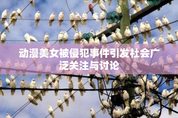 动漫美女被侵犯事件引发社会广泛关注与讨论