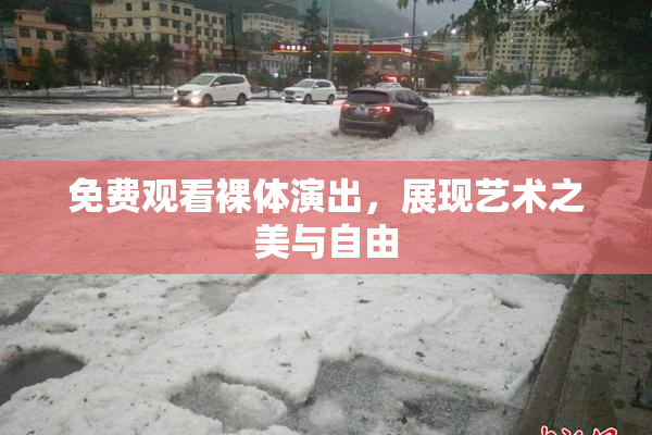 免费观看裸体演出，展现艺术之美与自由