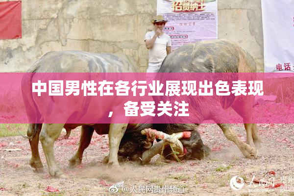 中国男性在各行业展现出色表现，备受关注