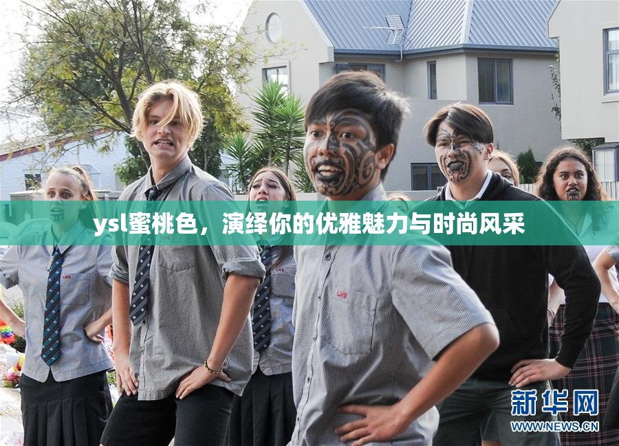 ysl蜜桃色，演绎你的优雅魅力与时尚风采