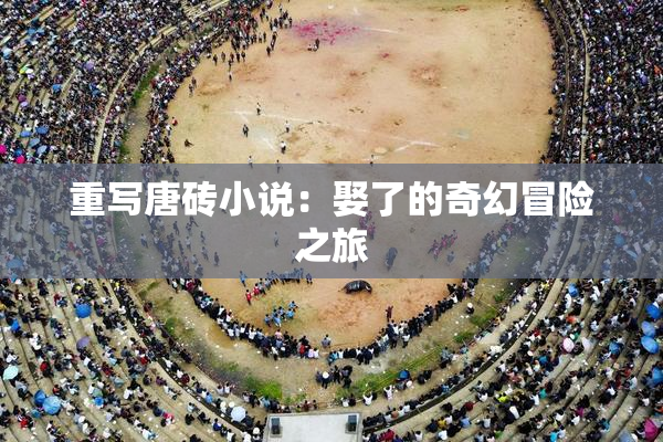 重写唐砖小说：娶了的奇幻冒险之旅