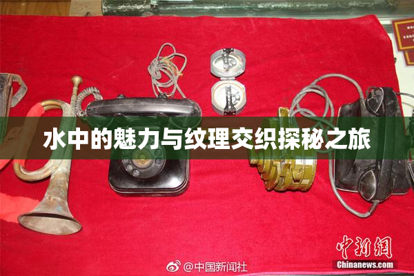 水中的魅力与纹理交织探秘之旅