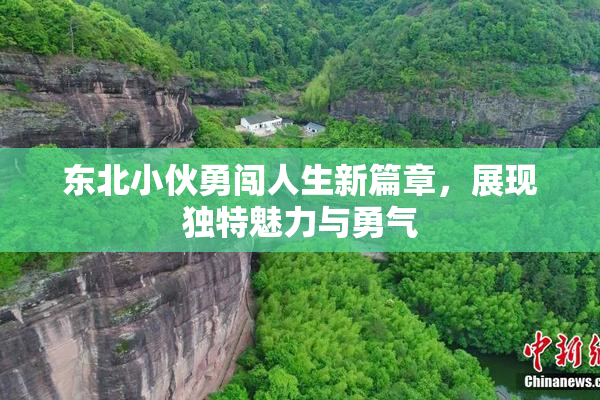 东北小伙勇闯人生新篇章，展现独特魅力与勇气