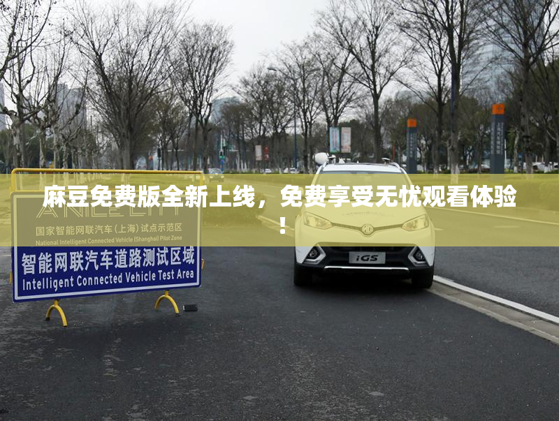 麻豆免费版全新上线，免费享受无忧观看体验！
