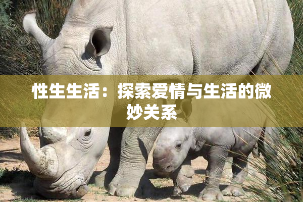 性生生活：探索爱情与生活的微妙关系