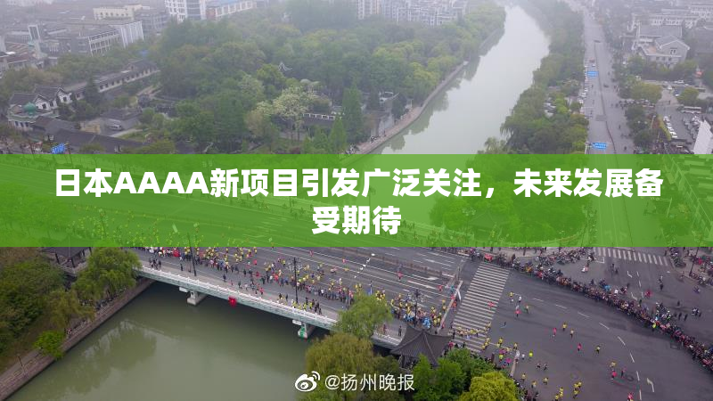 日本AAAA新项目引发广泛关注，未来发展备受期待
