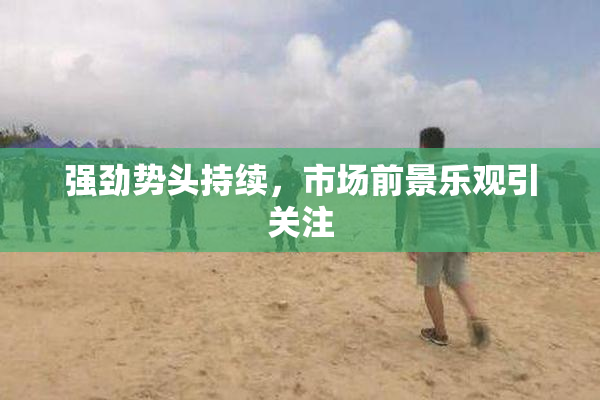 强劲势头持续，市场前景乐观引关注