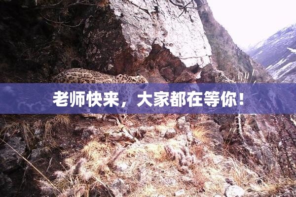 老师快来，大家都在等你！