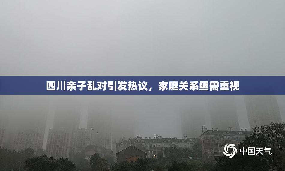 四川亲子乱对引发热议，家庭关系亟需重视