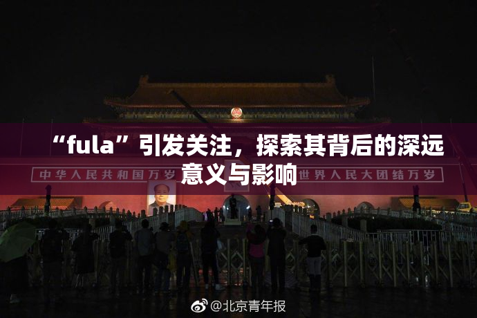 “fula”引发关注，探索其背后的深远意义与影响