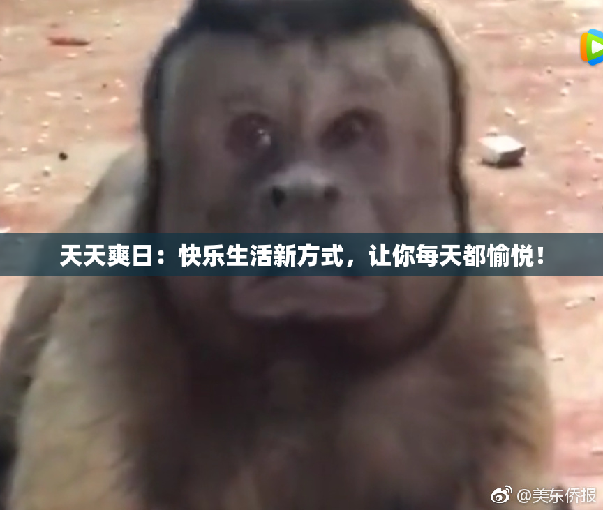 天天爽日：快乐生活新方式，让你每天都愉悦！