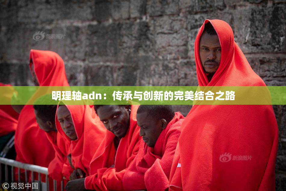 明理轴adn：传承与创新的完美结合之路