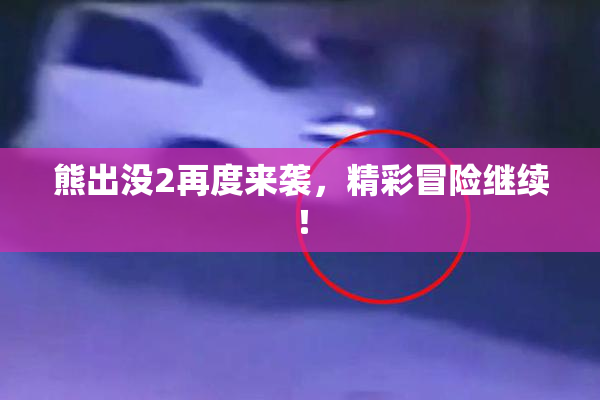 熊出没2再度来袭，精彩冒险继续！