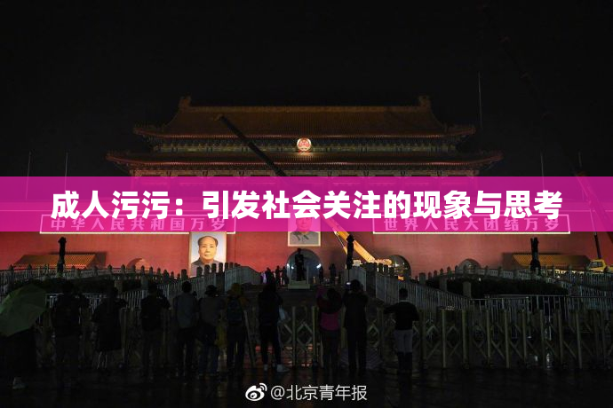 成人污污：引发社会关注的现象与思考