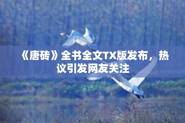 《唐砖》全书全文TX版发布，热议引发网友关注