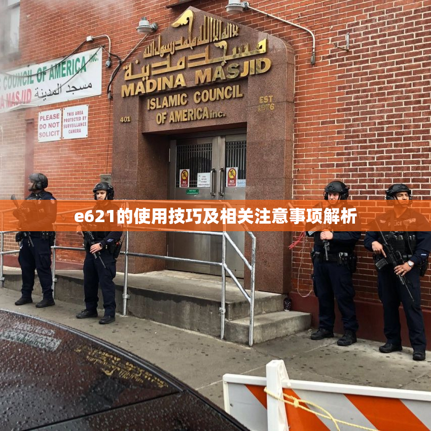 e621的使用技巧及相关注意事项解析