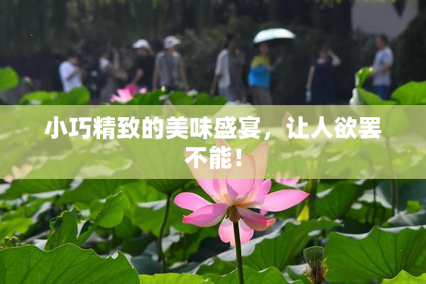 小巧精致的美味盛宴，让人欲罢不能！
