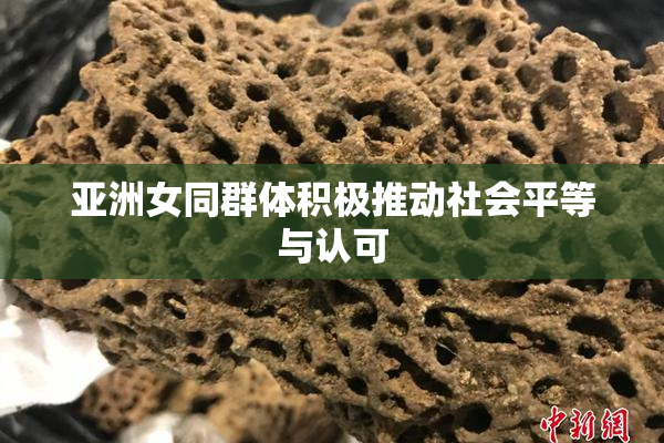 亚洲女同群体积极推动社会平等与认可