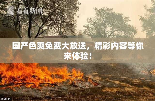 国产色爽免费大放送，精彩内容等你来体验！