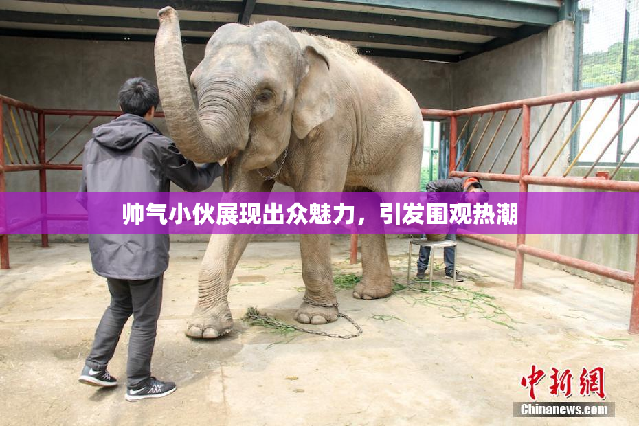 帅气小伙展现出众魅力，引发围观热潮