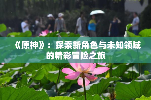 《原神》：探索新角色与未知领域的精彩冒险之旅