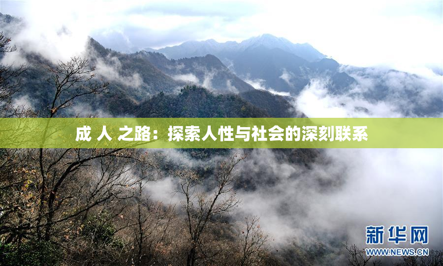 成 人 之路：探索人性与社会的深刻联系