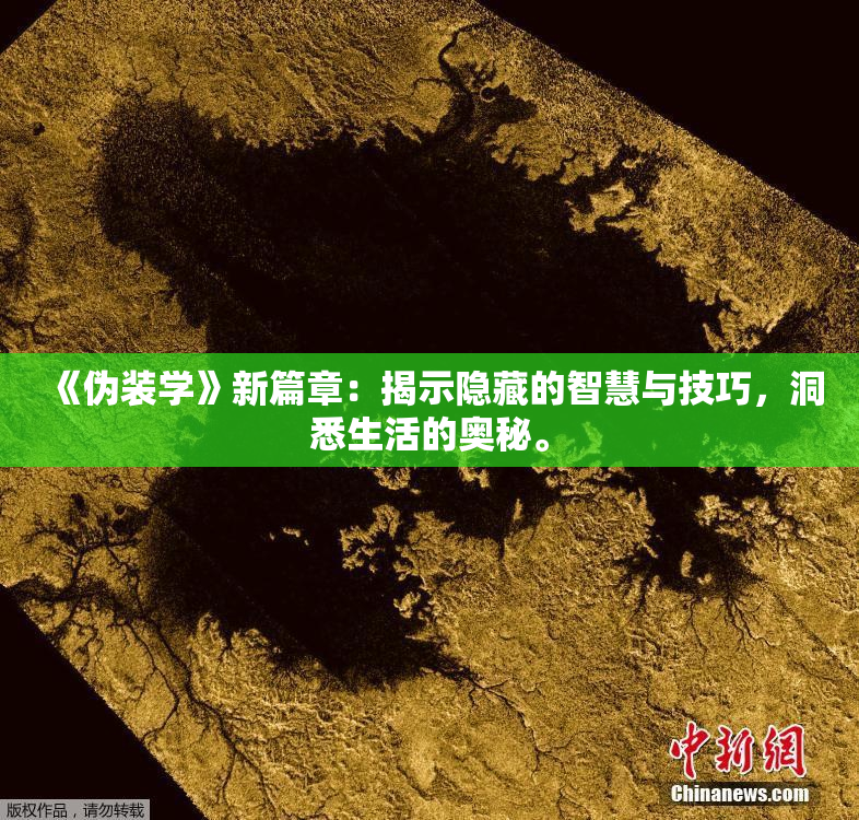 《伪装学》新篇章：揭示隐藏的智慧与技巧，洞悉生活的奥秘。