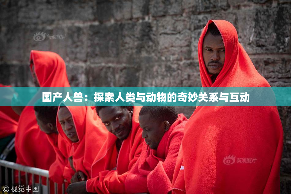 国产人兽：探索人类与动物的奇妙关系与互动