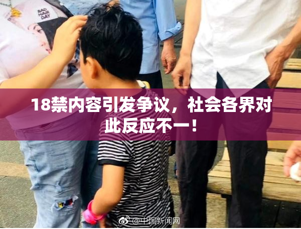 18禁内容引发争议，社会各界对此反应不一！