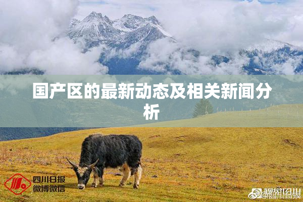 国产区的最新动态及相关新闻分析