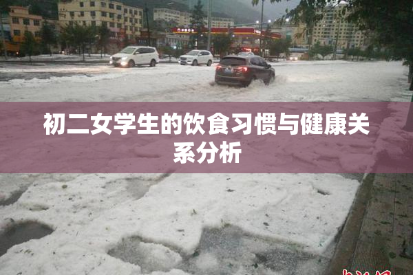 初二女学生的饮食习惯与健康关系分析