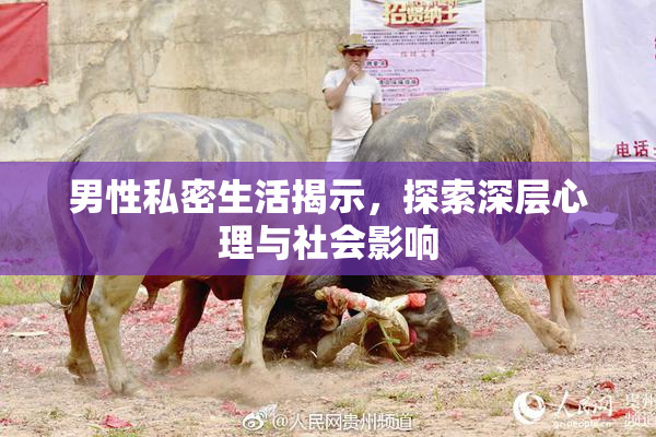 男性私密生活揭示，探索深层心理与社会影响