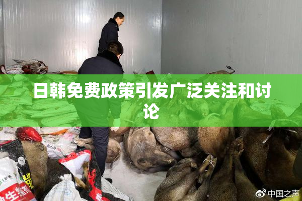 日韩免费政策引发广泛关注和讨论
