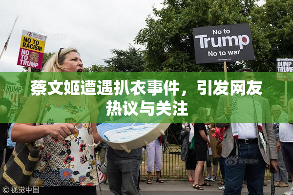 蔡文姬遭遇扒衣事件，引发网友热议与关注
