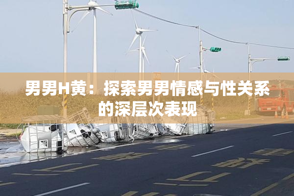 男男H黄：探索男男情感与性关系的深层次表现
