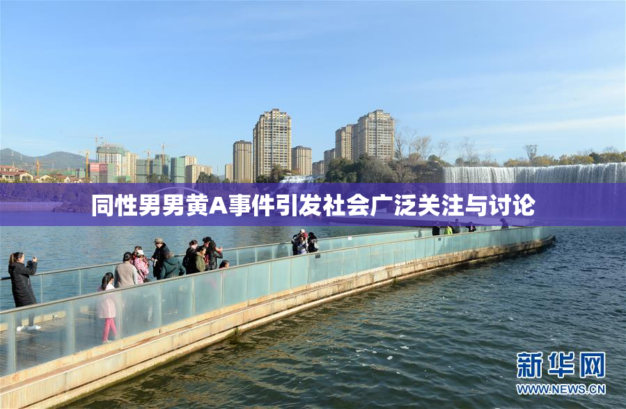 同性男男黄A事件引发社会广泛关注与讨论